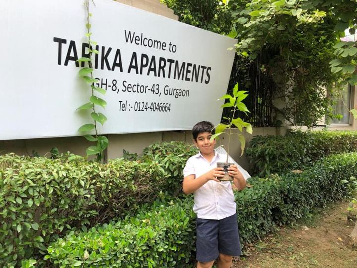 Plantation drive at Tarika Apartments